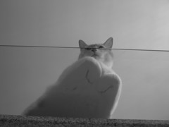 シャッターチャンス☆