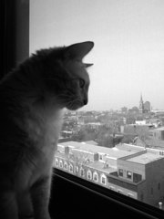 At hotel room