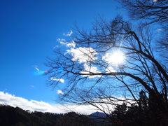 冬の空