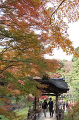 三渓園の紅葉　2013.11.28