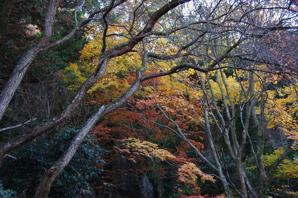 平和観音公園