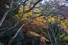 平和観音公園