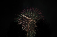 hanabi11