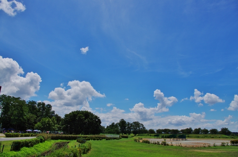夏空　2012-1