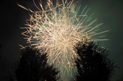 hanabi12 