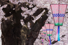 桜雪洞