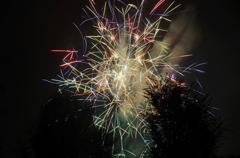 hanabi3