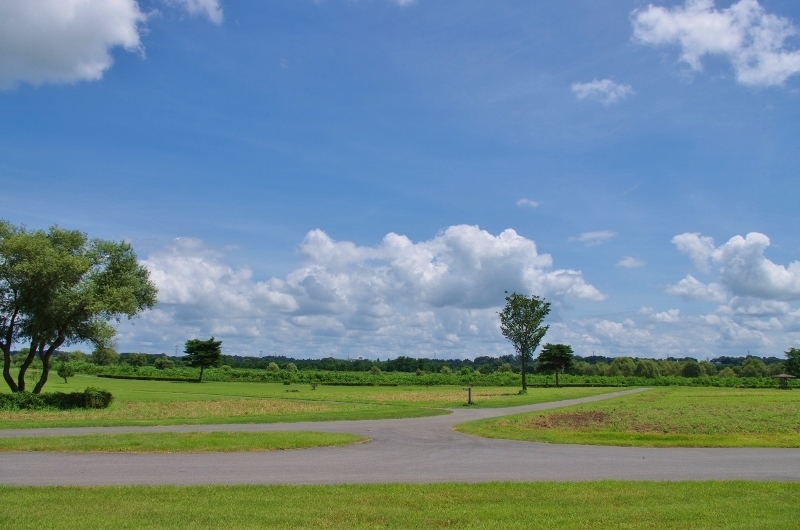 夏空　2012-2