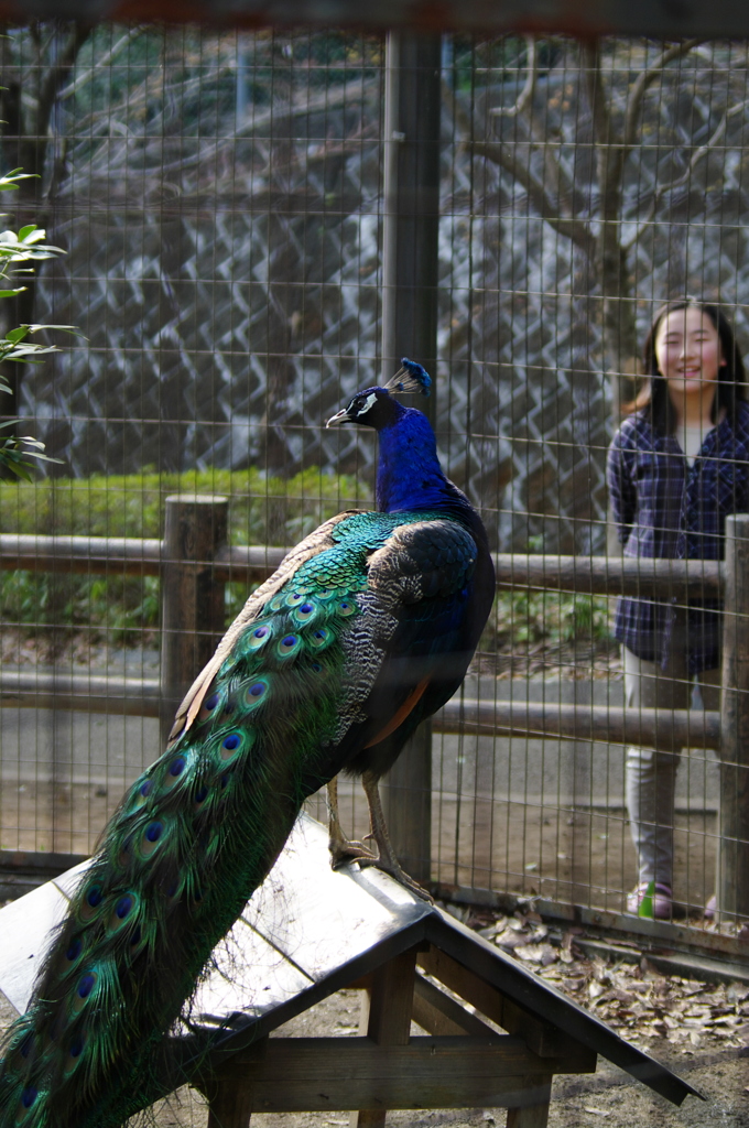 見つめないで