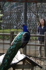 見つめないで