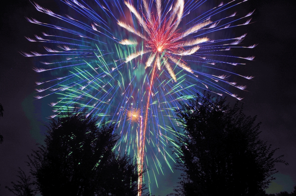 hanabi16 