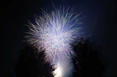 hanabi8