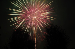 hanabi15