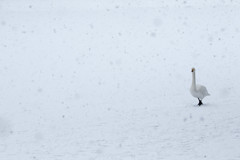 雪の中で