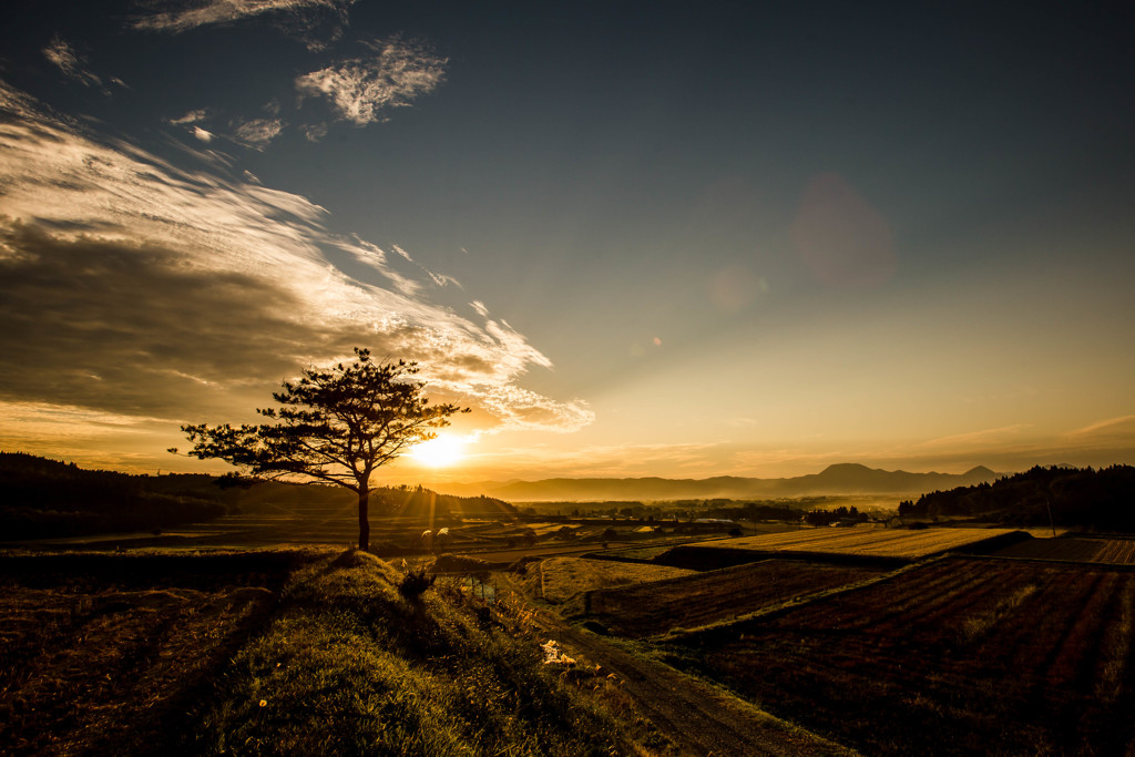 夕暮れ