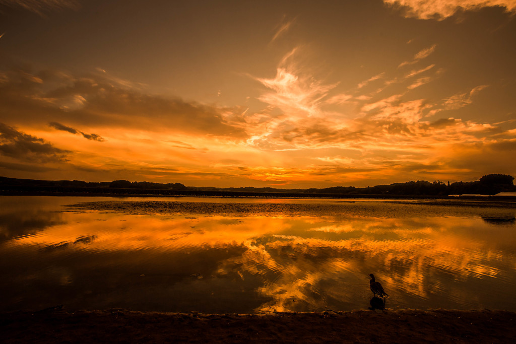 夕焼け空