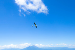 飛行機