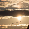 久々の夕日