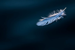 Silence