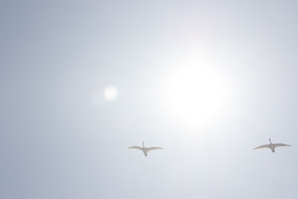晴天