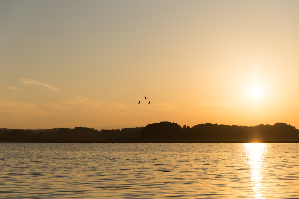 夕焼け空