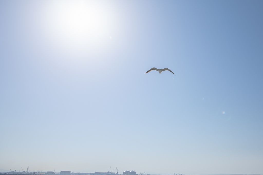 青空