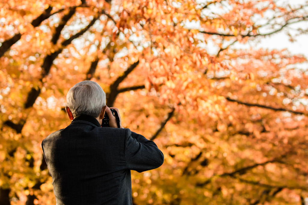 紅葉紳士