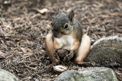 食欲の秋