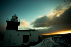 lighthouse sunset birds