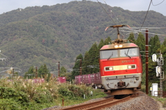 峠の秋（貨物列車）