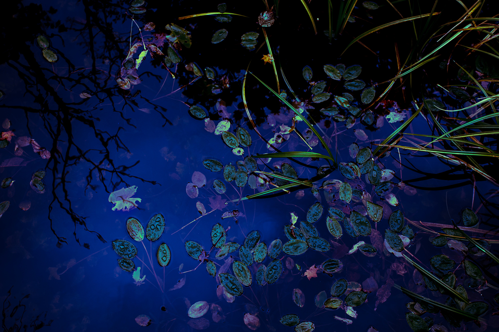 absorbing colors
