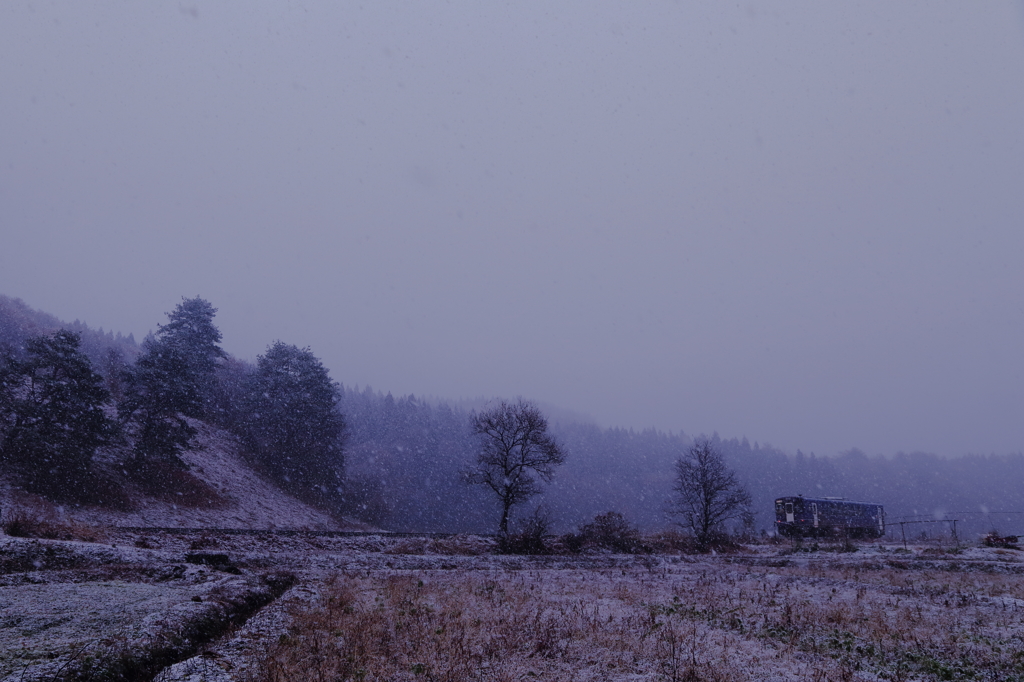 Early Winter 2