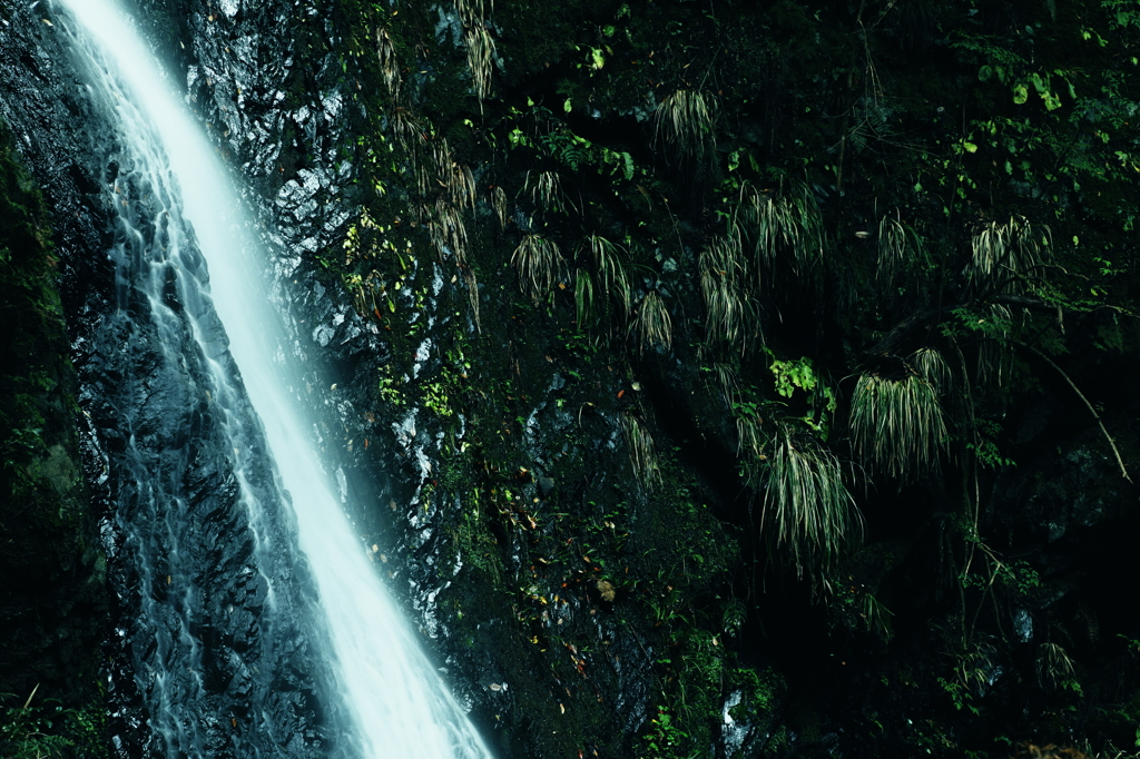 green waterfall