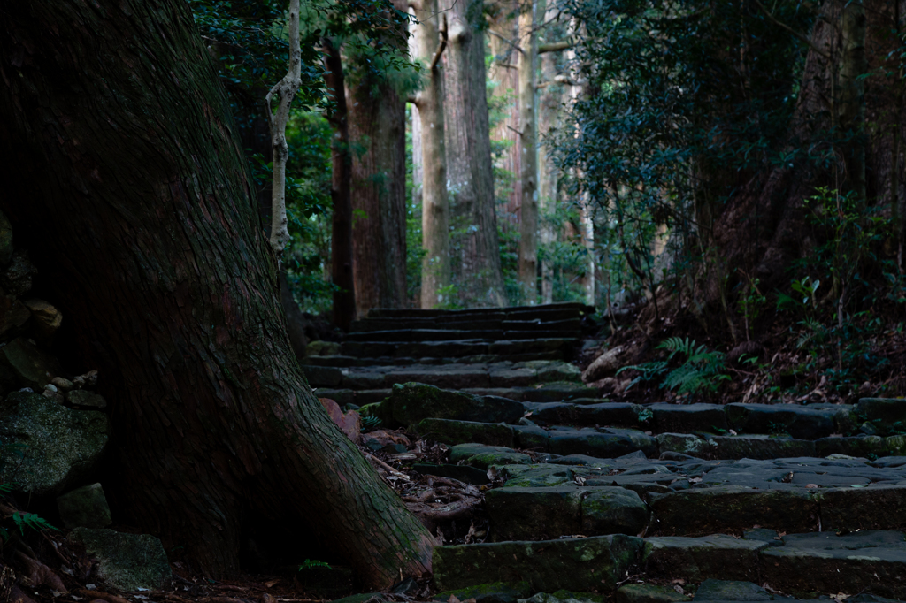 ancient corridor