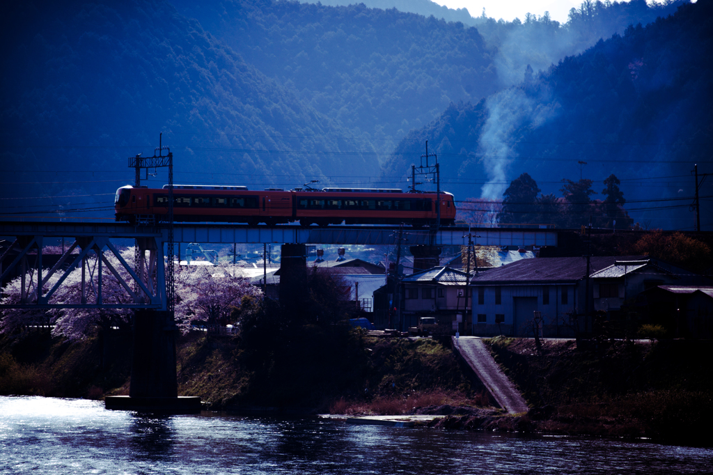 Sakura Bridge 2