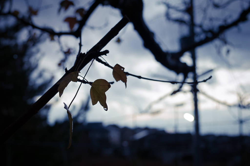close to winter