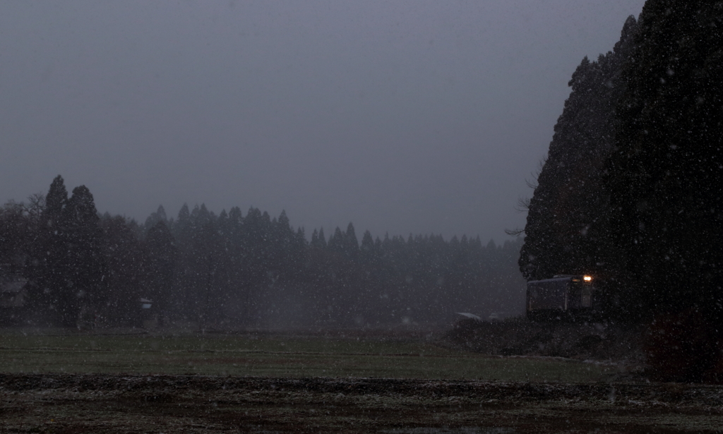 Early Winter