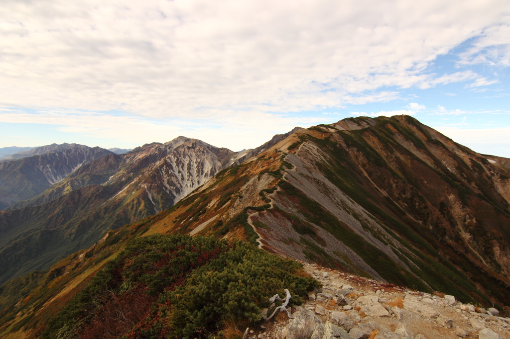 Ridge Trail