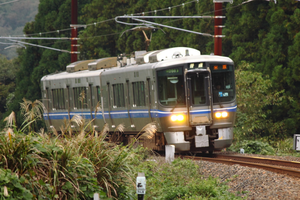 峠の秋（米原行普通列車）