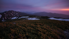 sunset and meadow