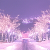 My Favorite Winter Slope