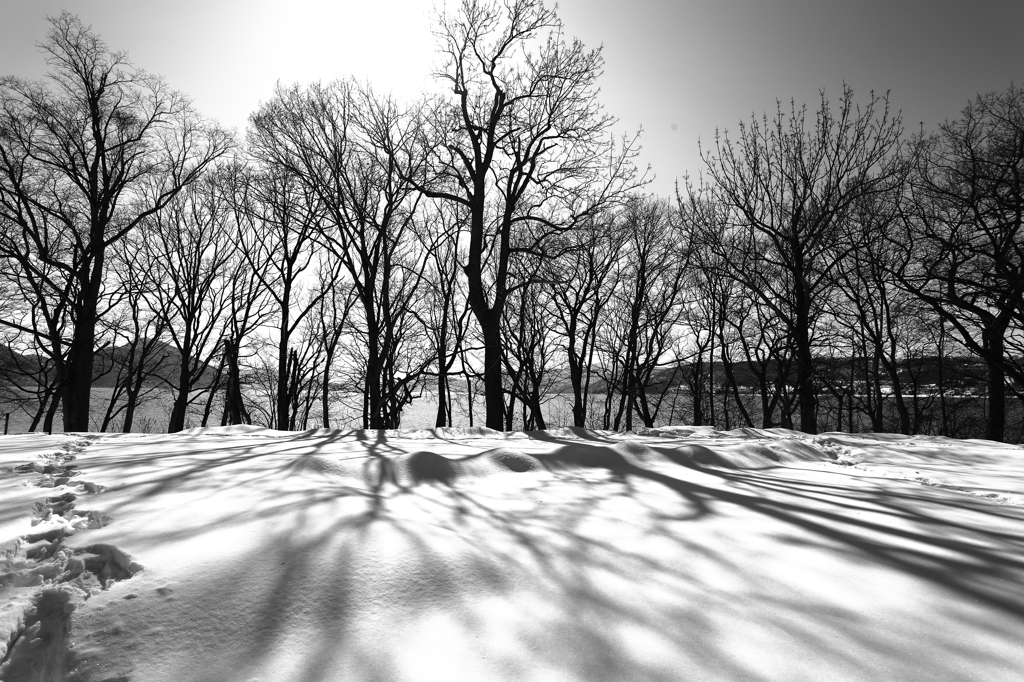 Paths
