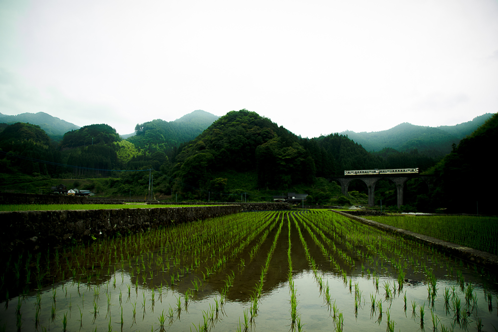 deep green heritage