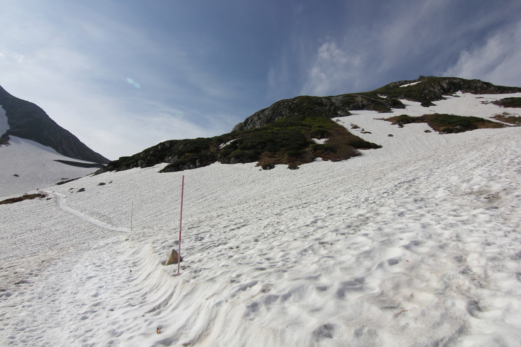 Summer Snow Trail