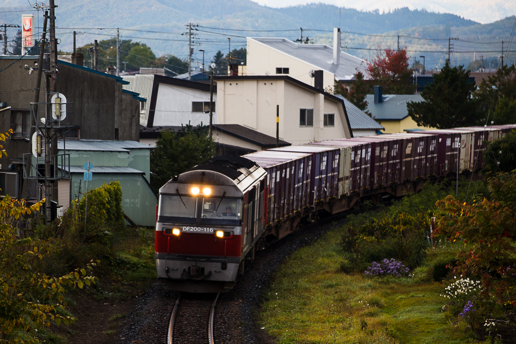 8071遠軽定刻