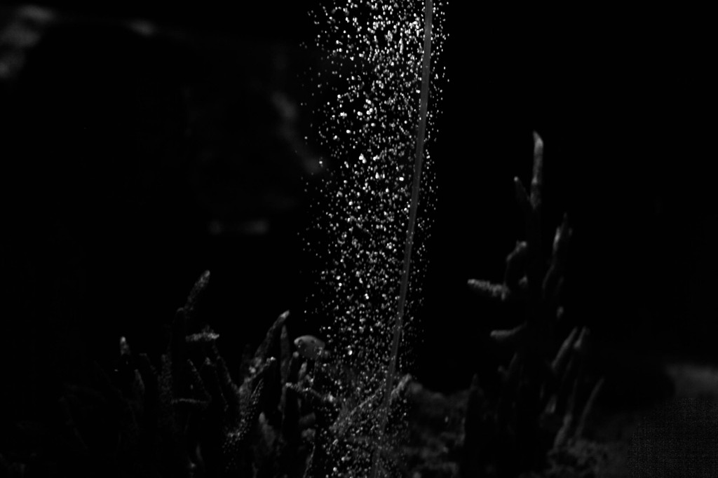 空気