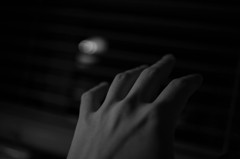 IMG_9062