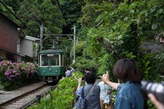 江ノ電を撮る