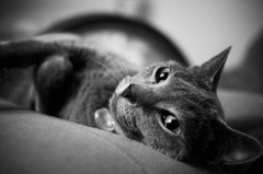 IMG_8536