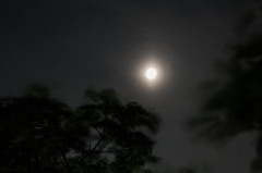 IMG_8980